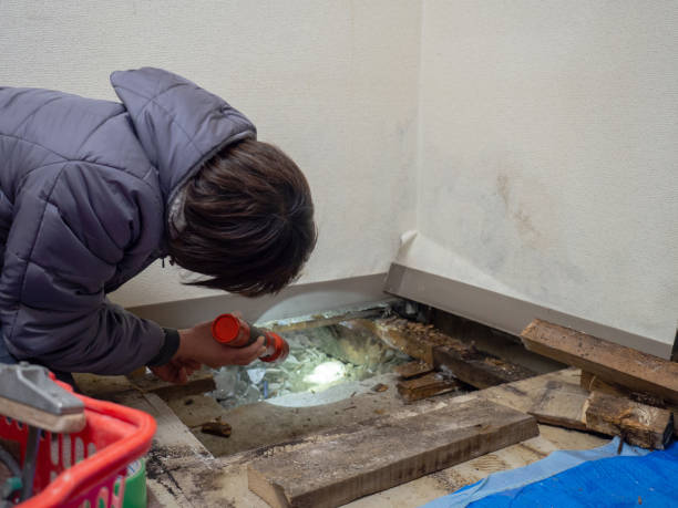 Mold Remediation for Vacation Homes in Davis, CA