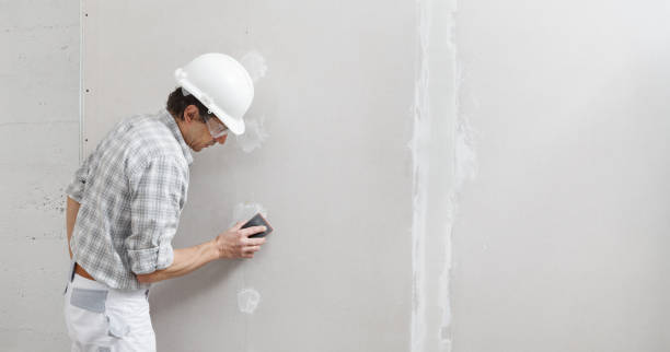 Best Post-Construction Mold Inspection  in Davis, CA