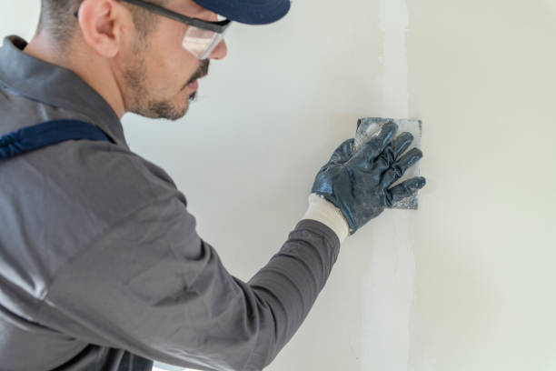 Best Asbestos and Lead Testing During Mold Inspection  in Davis, CA