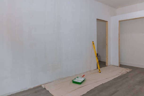 Best Mold Removal for HVAC Installations  in Davis, CA