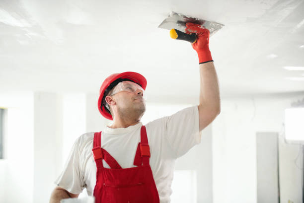 Best Mold Documentation for Insurance Claims  in Davis, CA
