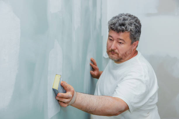 Best Industrial Mold Remediation  in Davis, CA