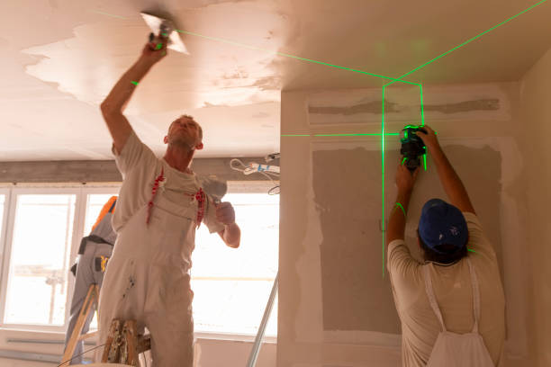 Best Crawl Space Mold Remediation  in Davis, CA