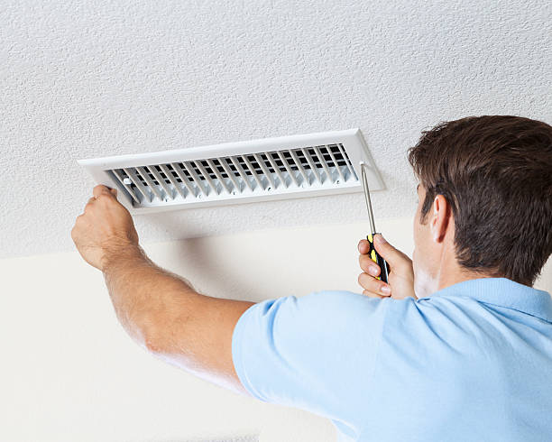 Mold Remediation for Rental Properties in Davis, CA