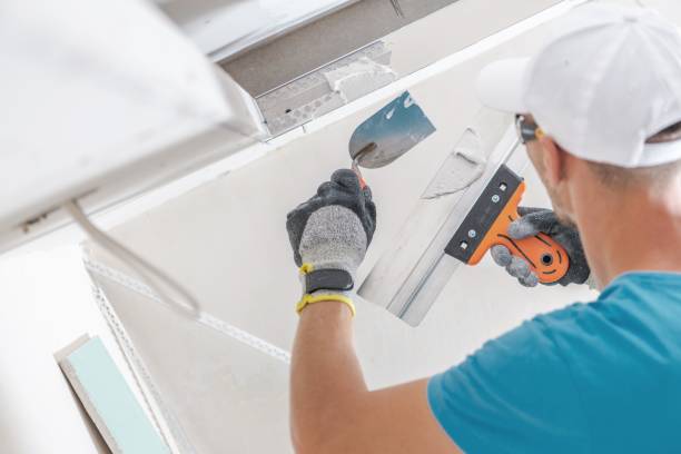 Best Airborne Mold Testing  in Davis, CA